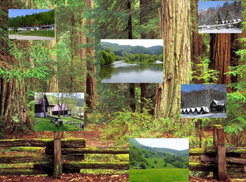 stromy-upravene-foto-bystricky-kopie-2.jpg stromy-upravene-foto-bystricky-kopie-2.jpg